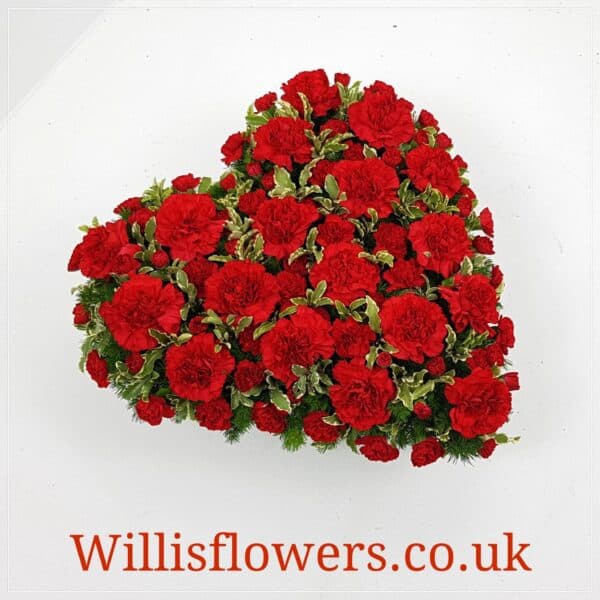 Carnation Heart