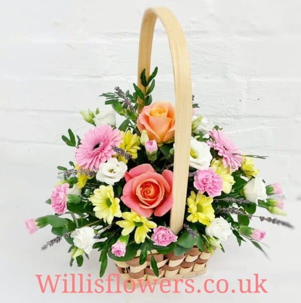 Sorbet Basket
