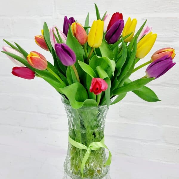 Mixed Tulip Vase