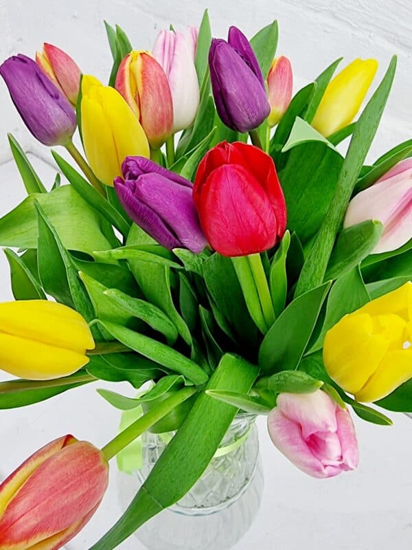 Mixed Tulip Vase - Image 2
