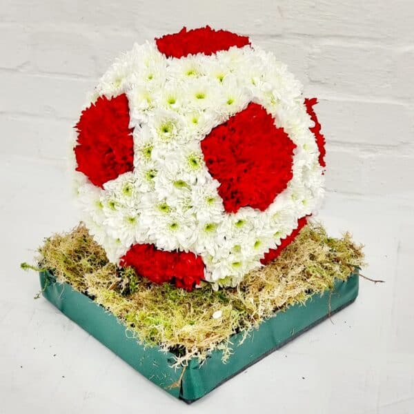 3d Football on pitch